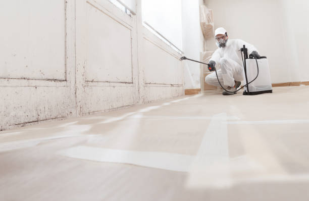 24/7 Emergency Attic Mold Remediation experts in Louisville, GA