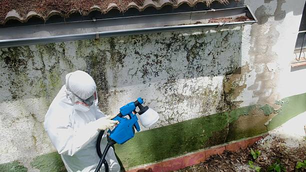 Top rated local Attic Mold Remediation specialists in Louisville, GA